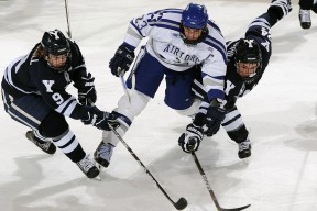 竞彩足球-赛场内外双星交响，约基奇与东契奇跨越国界的篮球情谊