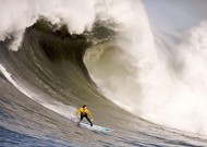 江苏体彩：官方宣布梅西荣膺迈阿密国际年度最有价值球员，阿尔巴获封最佳防守球员